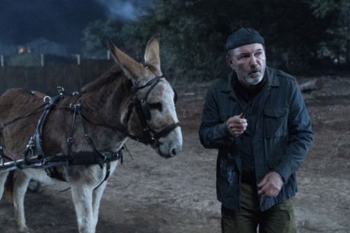 602 fear the walking dead photo22