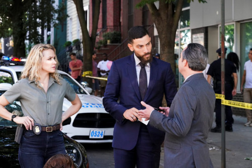 Flopped Cop  When a wealthy accountant is gunned down for secretly testifying against a notorious dr