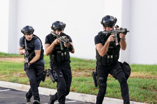 Whoa Black Betty  When S.W.A.T.s armored vehicle is stolen, the squad must team up with FBI Agent Va