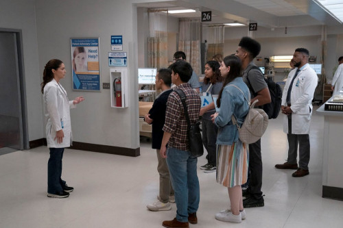 NEW AMSTERDAM -- "Better To Light A Candle" Episode 507 -- Pictured: (l-r) Janet Montgomery as Dr. L