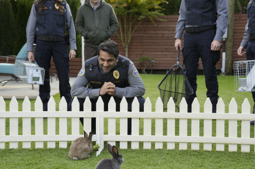 ANIMAL CONTROL: Ravi Patel in the Rabbits and Pythons episode of ANIMAL CONTROL airing Thursday, Feb