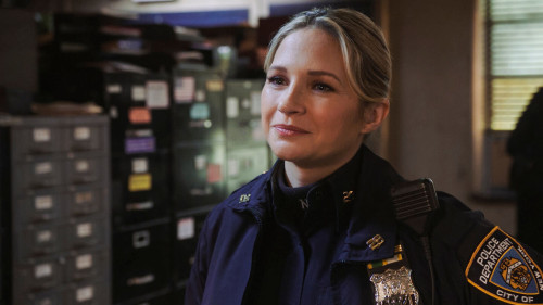BLUEBLOODS_1317_SG_002b.jpg