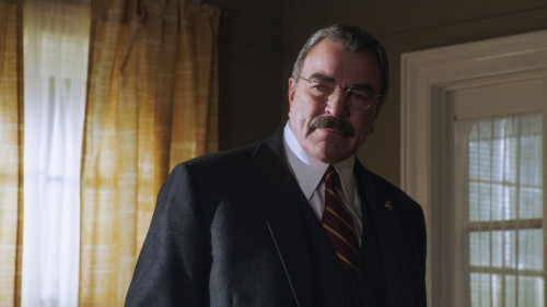 BLUEBLOODS_1317_SG_003b.jpg