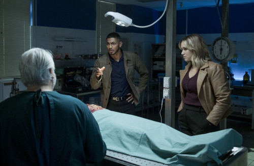 NCIS SYD 104 DAS 0707 9620 RT