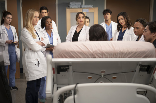 Greys Anatomy Episode 20x04 4