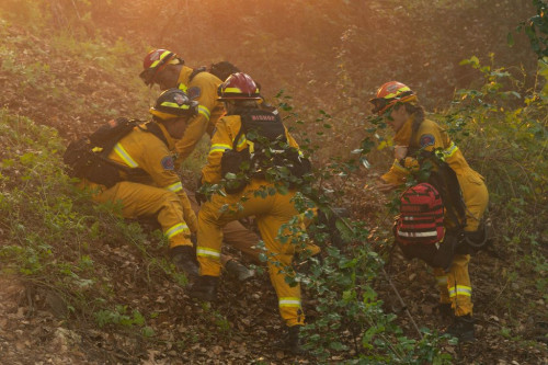 Station 19 Episode 7x10 3 - SpoilerTV Image Gallery